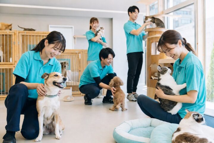 動物カテゴリーのイメージ